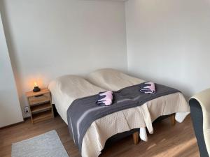 Gallery image of Cozy & modern central-apartment in Turku