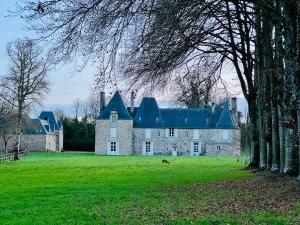 une grande maison en pierre avec un chien dans un champ dans l'établissement Chambres d'hôtes Château de La Croix Chemin, à Saint-Léger-des-Prés