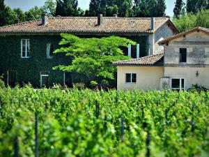 una casa con un árbol delante de un campo en Petit Garros en Fronsac