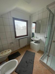 a bathroom with a sink and a toilet and a shower at Ferienwohnung Fam. Albert in Heuchelheim-Klingen