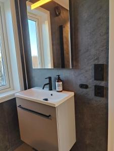 ein Bad mit einem Waschbecken und einem Spiegel in der Unterkunft Torghatten bnb in Brønnøysund