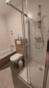 a bathroom with a shower with a toilet and a sink at An der Stadtmauer in Halberstadt