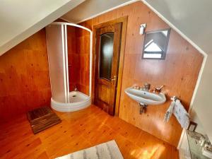 a bathroom with a sink and a wooden wall at Blue Sky in Buşteni