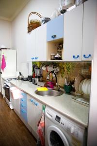 una cucina con lavandino e lavatrice di Apartment on Chubinashvili 30 a Tbilisi City
