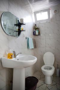 bagno con lavandino, servizi igienici e specchio di Apartment on Chubinashvili 30 a Tbilisi City