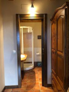 een badkamer met een douche, een wastafel en een spiegel bij Apartamentos Lobiche in Navafría