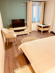 a bedroom with a tv and a bed and a chair at Moon and Sun Apartments in Sibiu