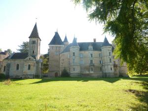 un vieux château avec une pelouse devant lui dans l'établissement Chateau de Bresse sur Grosne, à Bresse-sur-Grosne