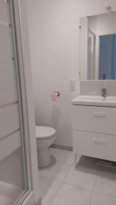 Baño blanco con aseo y lavamanos en Appartement 2 pièces proche cathédrale en Nantes