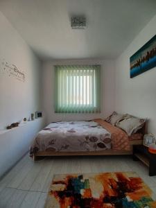 Schlafzimmer mit einem Bett, einem Fenster und einem Teppich in der Unterkunft Apartament la dudu in Sulina