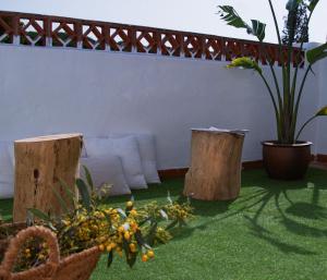 een woonkamer met twee houtblokken en een bank en planten bij La Posada de Trafalgar in Los Caños de Meca