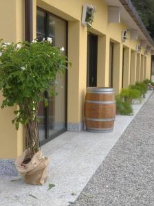 索马伦巴多Azienda agrituristica Scotti的坐在大楼旁边的一个大桶