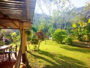Blick auf einen Garten mit Tisch und Stühlen in der Unterkunft Cabañas Ixaya in Catemaco