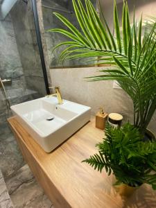 a bathroom with a sink and a potted plant at Wileńska home apartment 3 in Warsaw