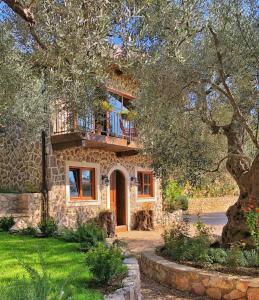 Zahrada ubytování OLIVE QUEEN Rustic Estate