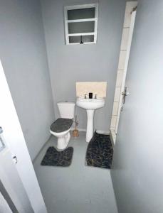 a small bathroom with a toilet and a sink at Posh Apartment next to Maboneng in Johannesburg