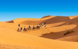 Hosté ubytování Mhamid Sahara Camp - Mhamid El Ghizlane