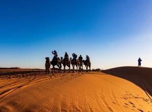 Hosté ubytování Mhamid Sahara Camp - Mhamid El Ghizlane