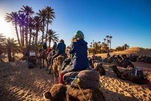 un gruppo di persone che cavalcano cammelli sulla spiaggia di Mhamid Sahara Camp - Mhamid El Ghizlane a M'Hamid
