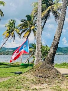un drapeau sur une plage à côté des palmiers dans l'établissement Ocean Breeze, à Punta Santiago