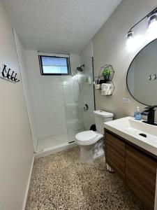 a bathroom with a shower and a toilet and a sink at Ocean Breeze in Punta Santiago