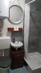 a bathroom with a sink and a toilet and a mirror at Apartman Barbara in Daruvar