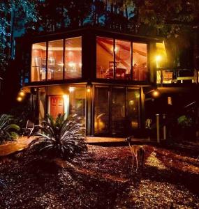 a house with a dog standing in front of it at A Magical Treehouse by the Sea! in Hilton Head Island