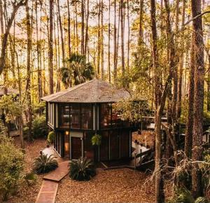 a small house in the middle of a forest at A Magical Treehouse by the Sea! in Hilton Head Island