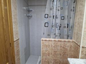 La salle de bains est pourvue d'une douche, de toilettes et d'un rideau de douche. dans l'établissement Vivienda Turistica IBAMA1, à Ciudad-Rodrigo
