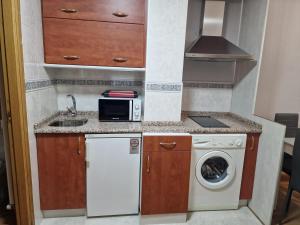 una pequeña cocina con fregadero y lavadora en Vivienda Turistica IBAMA1, en Ciudad Rodrigo