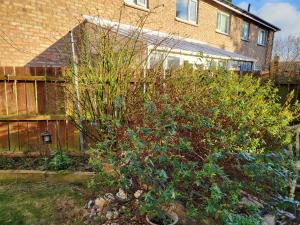 a garden in front of a house with a fence at Alis haven in Pegswood