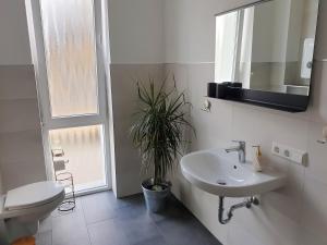 a bathroom with a sink and a potted plant at Ferienwohnung Zur Flatter-Ulme in Weißwasser