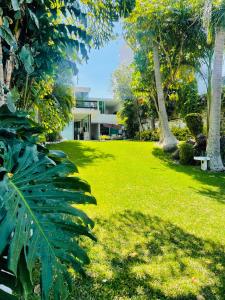 un patio verde con una casa al fondo en Casa Alfenapa completa para ti y tu familia, pet friendly y a pie del lago en Tequesquitengo