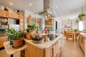 a kitchen with a counter with plants on it at Pillows Peniche Townhouse in Peniche