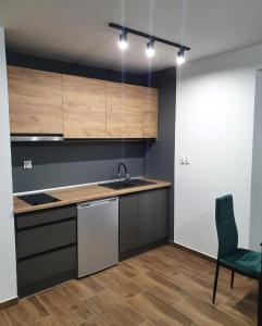 Kuchyň nebo kuchyňský kout v ubytování Apartament Bianka
