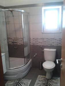 baño con ducha y aseo y ventana en Apartman Maja, en Senj