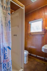 a bathroom with a toilet and a window and a shower curtain at Mountain Lake Cottages in Westmore