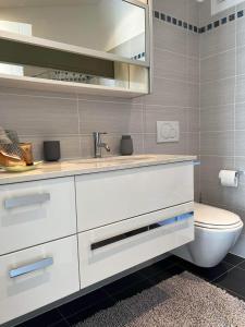 a bathroom with a sink and a toilet at Moderno bilocale vista lago Maggiore in Gordola