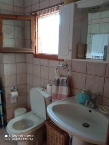 a bathroom with a sink and a toilet and a mirror at Persefoni's Traditional House in Promírion +17 photos