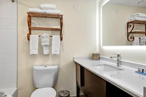 Bagno di Holiday Inn - Piscataway - Somerset by IHG