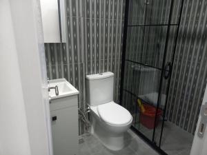 La petite salle de bains est pourvue de toilettes et d'un lavabo. dans l'établissement *Новая квартира 1+1 Mecidiyeköy, à Istanbul
