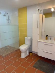 a bathroom with a toilet and a sink at Duplex Rose Porcelaine - Vue Mer- Malendure in Bouillante