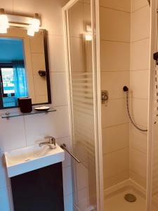 a bathroom with a shower and a sink at Zum Deutschen Heinrich in Gifhorn