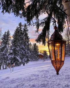 une lanterne suspendue à un arbre dans la neige dans l'établissement Casa Olivera, à Limone Piemonte