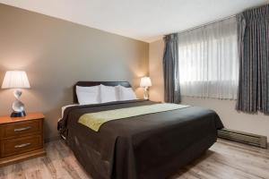 Postel nebo postele na pokoji v ubytování Rodeway Inn & Suites Hwy 217 & 26 W