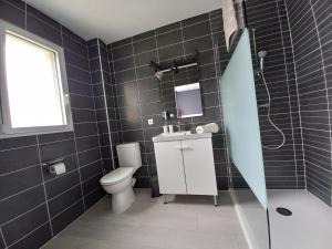 uma casa de banho com azulejos pretos, um WC e um chuveiro em C La Belle Vie em Pessac