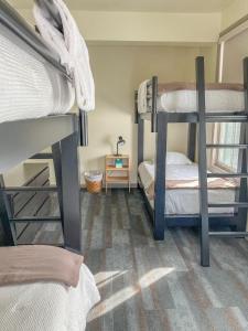 クレスティド・ビュートにあるCrested Butte Hostelの二段ベッド2組が備わる客室です。