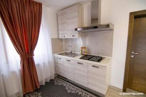 Kuchyň nebo kuchyňský kout v ubytování PENSIUNEA HANTIG TURA + 8 fotografií