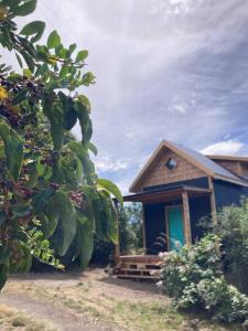 een blauw huis met een blauwe deur en een boom bij Refugio Huerta Los Maquis in Puerto Guadal