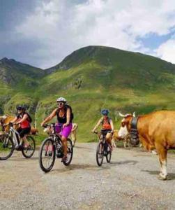 a group of people riding bikes next to a cow at Boutique Chalet Panoramic Views Hot Tub in Vers L'Eglise